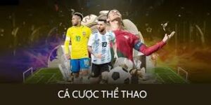 Tổng quan về nền tảng cá cược thể thao 1xBit